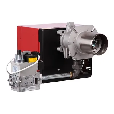RUF 40 FS10 TC MB-DLE405 B01 S20 — gas burner, photo 3