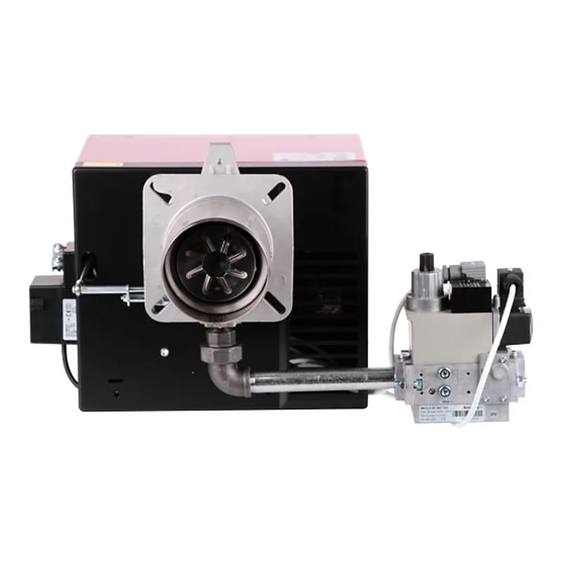RUF 40 GS20D TC MB-DLE 407 — gas burner, photo 1