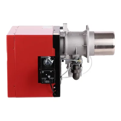 RUF 40 GS20D TC MB-DLE 407 — gas burner, photo 3