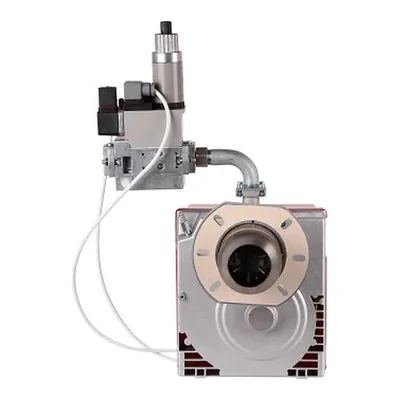 RUF 40 BS2 D BLU MB-DLE 405 — gas burner, photo 2