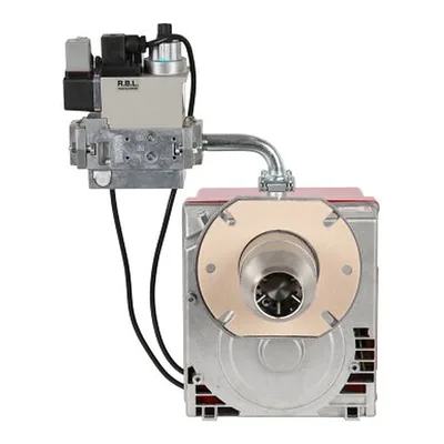 Riello Gulliver BS1 MB 405/1 - F1SD 20 — brûleur gaz, photo 2