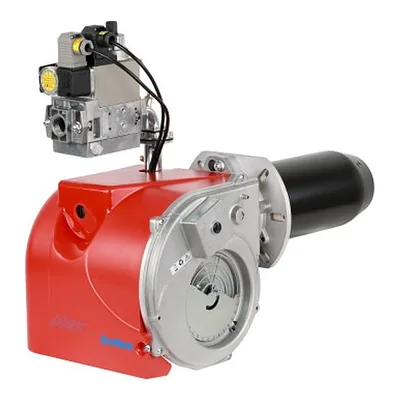 Ecoflam MAX GAS 170 P TW TL HT CV MBDLE405 — quemador de gas, foto 2