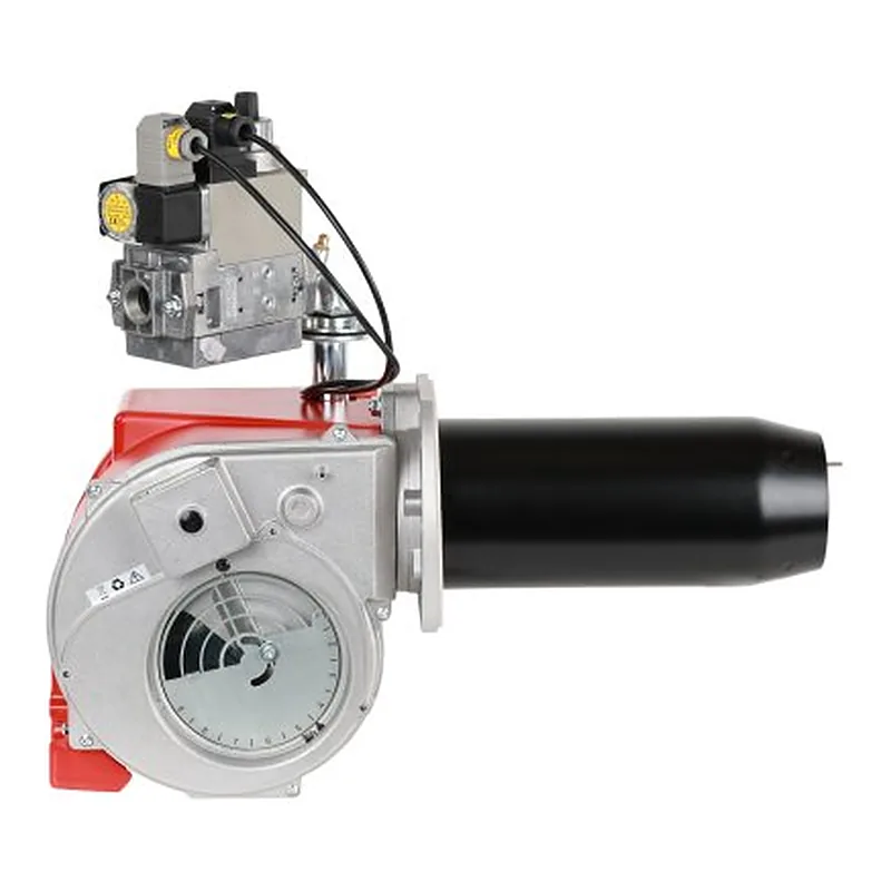 Ecoflam MAX GAS 250 LN P TL HT TW CV MBDLE405 — quemador de gas, foto 1