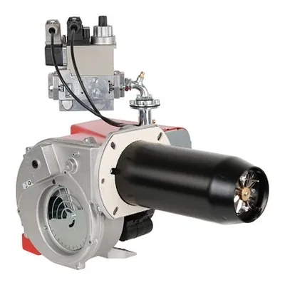 Ecoflam MAX GAS 250 LN P TL HT TW CV MBDLE405 — quemador de gas, foto 2