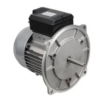 Baltur Motor eléctrico 0005010059
