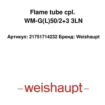 Weishaupt Tube de flamme 21751714232