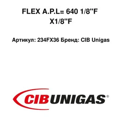 CIB Unigas Latiguillo de gasóleo 234FX36