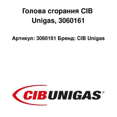 CIB Unigas Głowica spalania 3060161
