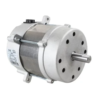 Riello Motor eléctrico 3008492