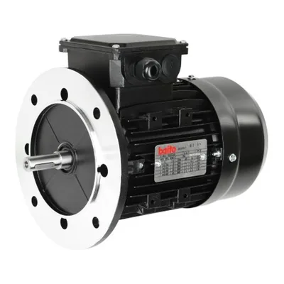 RUF Motor eléctrico RU3003966