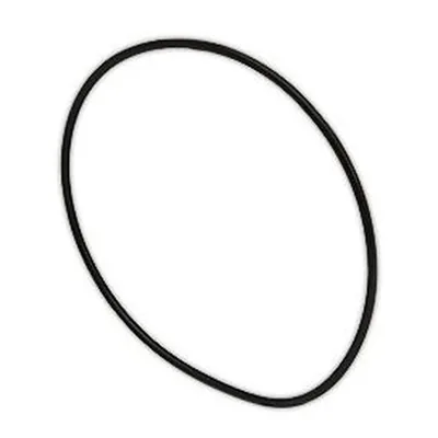 Baltur Junta anular 0005180087