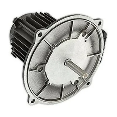 Baltur Motor eléctrico 0005010124