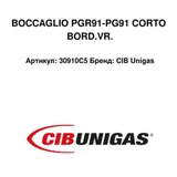 CIB Unigas Tubo de llama 30910C5