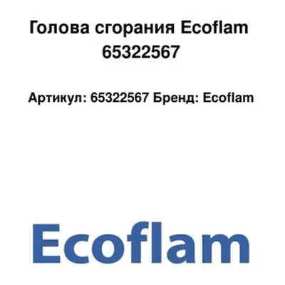 Ecoflam Cabezal de combustión 65322567