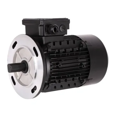 Baltur Motor eléctrico 0005010264