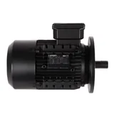 Baltur Electric Motor 0005010264 — view 3