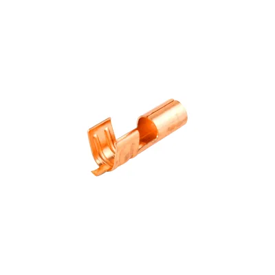 Brahma Terminal hembra 80340700