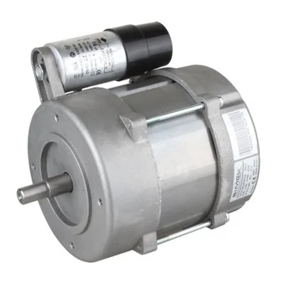 Elco Motor eléctrico 65300813