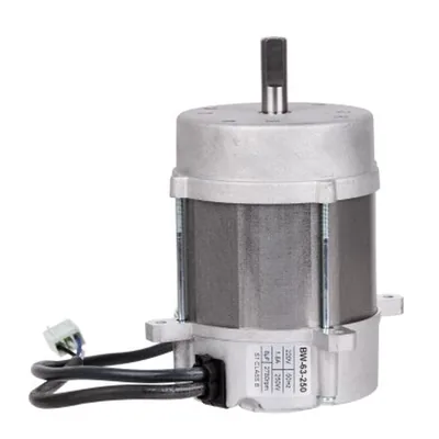 RUF Motor eléctrico RU3008506