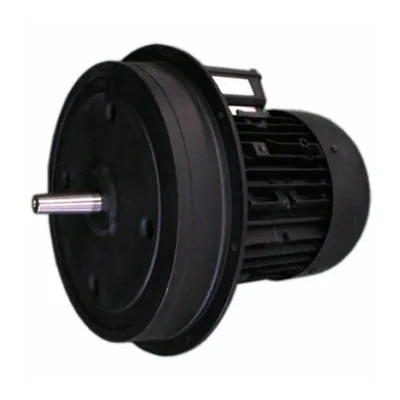 Weishaupt Motor eléctrico 21871507010