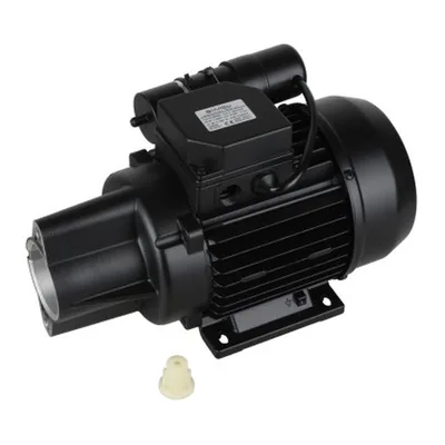 Riello Motor eléctrico 3013829