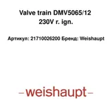 Weishaupt Tren de válvulas DMV5065/12 21710026200