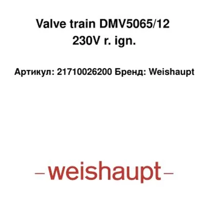 Weishaupt Tren de válvulas DMV5065/12 21710026200