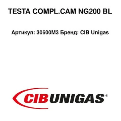CIB Unigas Głowica spalania NG 200 L 30600M3