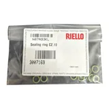 Riello Dichtring-Set 3007169