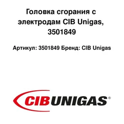 CIB Unigas Cabezal de combustión con electrodos 3501849
