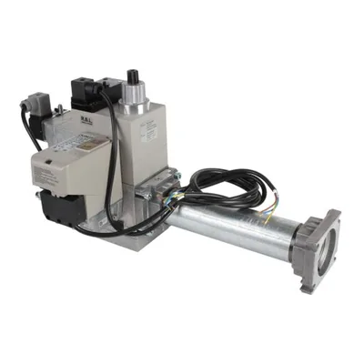 Riello Colector de gas 3970182