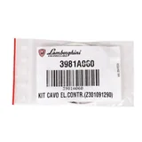 Lamborghini Cable de ionización 3981A060 — vista 3