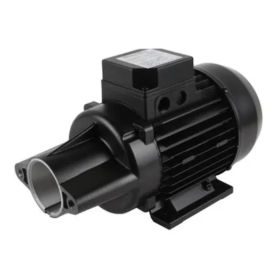 Riello Motor 3003568