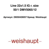 Weishaupt Brennerkomponente Line 22x1.5 IG 29050426057