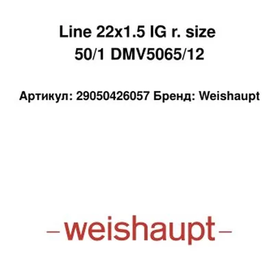 Weishaupt Componentes de quemador Line 22x1.5 IG 29050426057