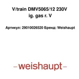 Weishaupt Válvula de gas DMV5065/12 29010026520