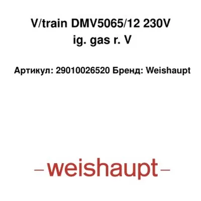 Weishaupt Válvula de gas DMV5065/12 29010026520