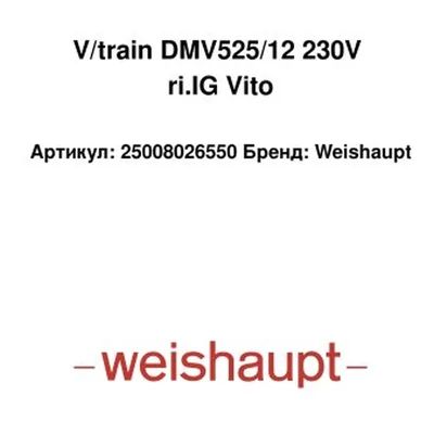 Weishaupt Actuador DMV525/12 25008026550