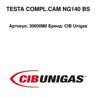 CIB Unigas Głowica spalania 30600M0