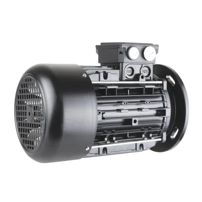 Riello Motor eléctrico 3013565