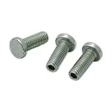 Elco Tornillos de fijación 13007804