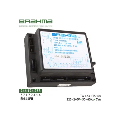 Brahma Mikroprozessor-Controller CM381N.1 30082312