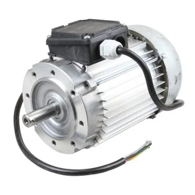 Hanning Motor eléctrico 13022153