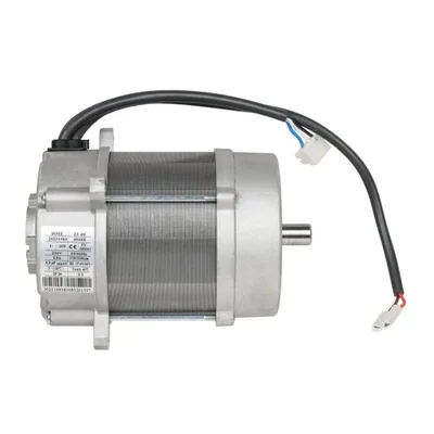 Riello Motor eléctrico 20214136