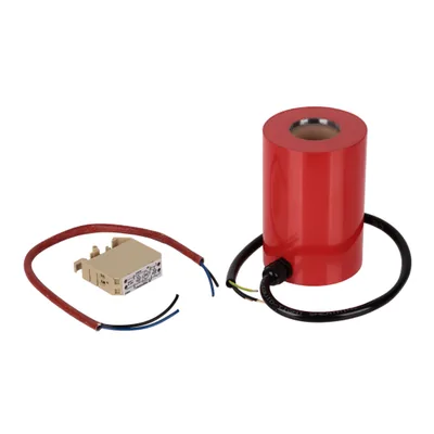 Riello Solenoide 3002293