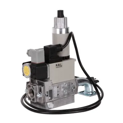 Riello Rampa de gas 3970541