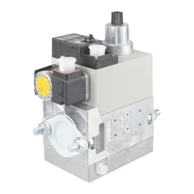 Ecoflam Multiblock de gas 13016759