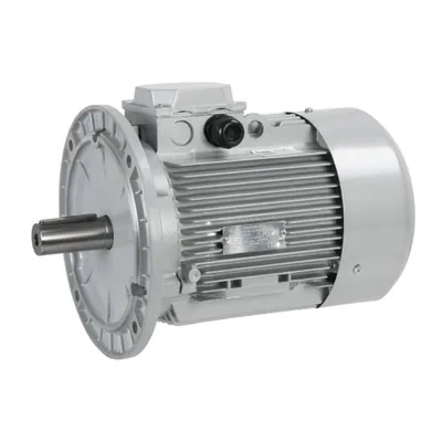 CIB Unigas Motor eléctrico 2180206P