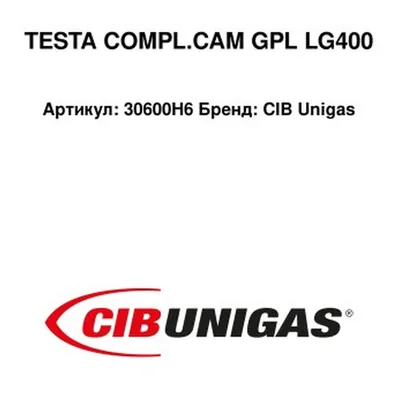 CIB Unigas Głowica spalania 30600H6