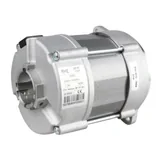 Riello Motor 3005820